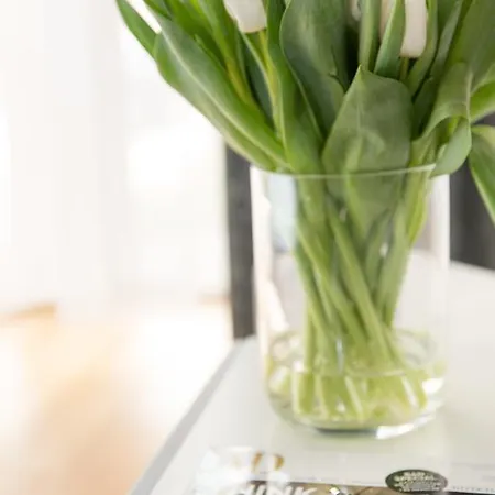 Appartement Studio 44 -