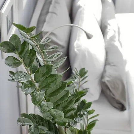 Studio 44 - Appartement *